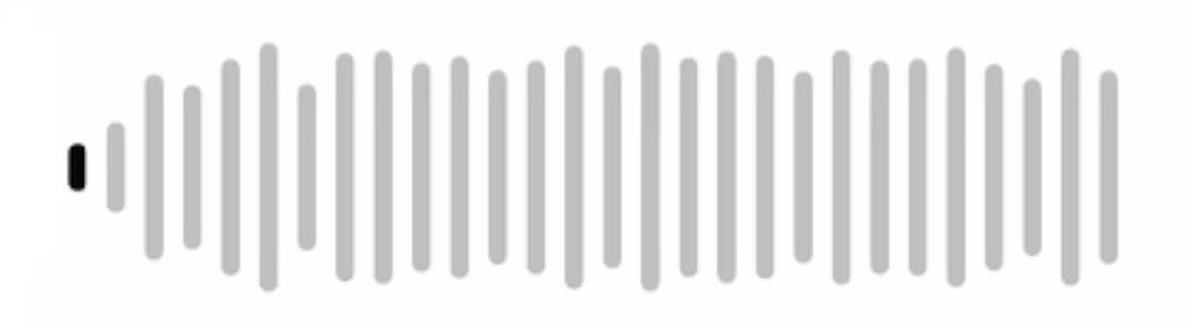 Charger la vidéo : 
